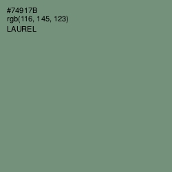 #74917B - Laurel Color Image