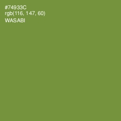 #74933C - Wasabi Color Image