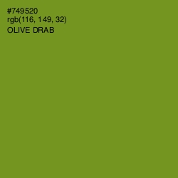 #749520 - Olive Drab Color Image