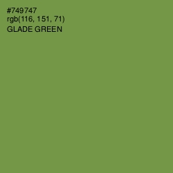 #749747 - Glade Green Color Image