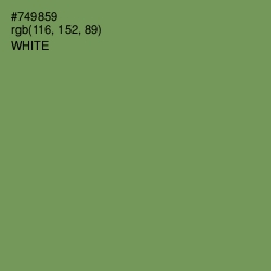 #749859 - Glade Green Color Image