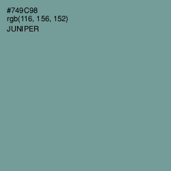 #749C98 - Juniper Color Image