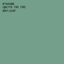 #74A08B - Bay Leaf Color Image