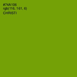 #74A106 - Christi Color Image
