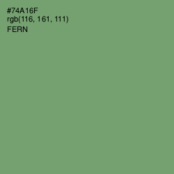 #74A16F - Fern Color Image