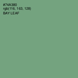#74A380 - Bay Leaf Color Image