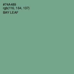 #74A489 - Bay Leaf Color Image