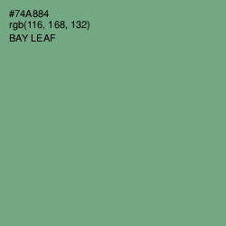 #74A884 - Bay Leaf Color Image