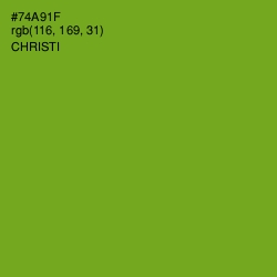 #74A91F - Christi Color Image