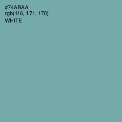 #74ABAA - Gumbo Color Image