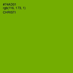 #74AD01 - Christi Color Image
