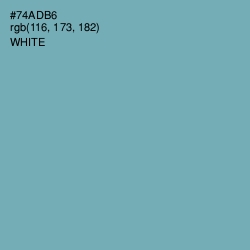 #74ADB6 - Neptune Color Image