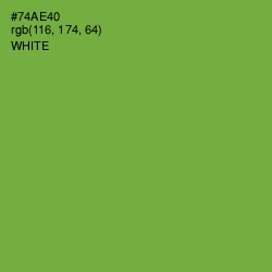 #74AE40 - Asparagus Color Image