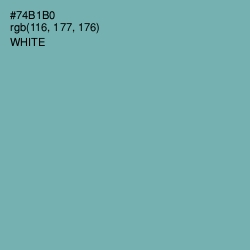 #74B1B0 - Neptune Color Image