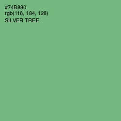 #74B880 - Silver Tree Color Image