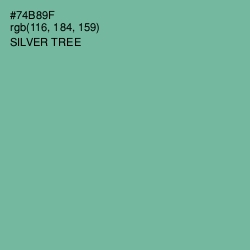 #74B89F - Silver Tree Color Image