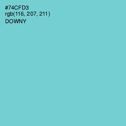 #74CFD3 - Downy Color Image