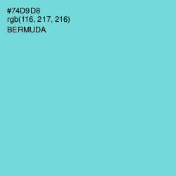 #74D9D8 - Bermuda Color Image