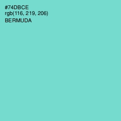 #74DBCE - Bermuda Color Image