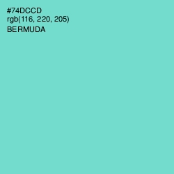 #74DCCD - Bermuda Color Image