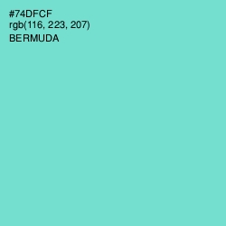 #74DFCF - Bermuda Color Image