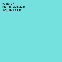#74E1DF - Aquamarine Color Image