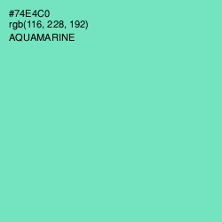 #74E4C0 - Aquamarine Color Image