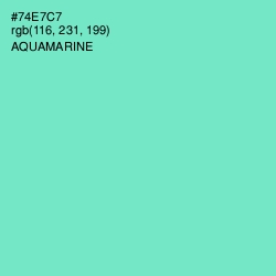 #74E7C7 - Aquamarine Color Image