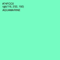 #74FCC0 - Aquamarine Color Image