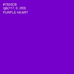 #7500CB - Purple Heart Color Image