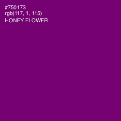 #750173 - Honey Flower Color Image