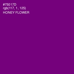 #75017D - Honey Flower Color Image