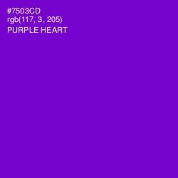 #7503CD - Purple Heart Color Image