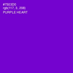 #7503D0 - Purple Heart Color Image