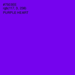 #7503EE - Purple Heart Color Image