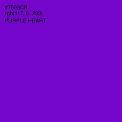 #7506CB - Purple Heart Color Image