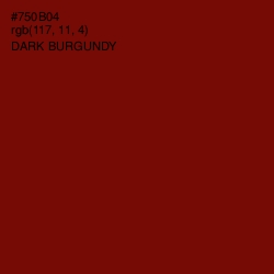 #750B04 - Dark Burgundy Color Image