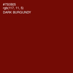 #750B05 - Dark Burgundy Color Image