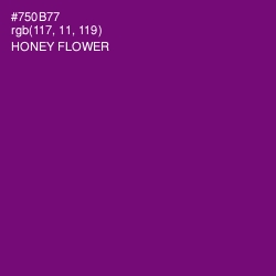 #750B77 - Honey Flower Color Image