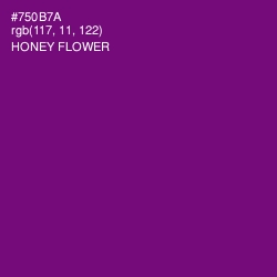 #750B7A - Honey Flower Color Image