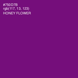 #750D7B - Honey Flower Color Image