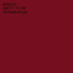 #750E1D - Persian Plum Color Image