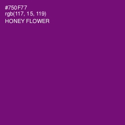 #750F77 - Honey Flower Color Image