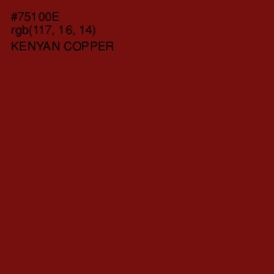 #75100E - Kenyan Copper Color Image