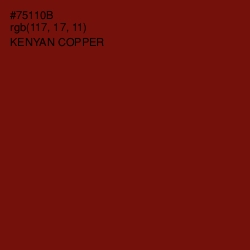 #75110B - Kenyan Copper Color Image