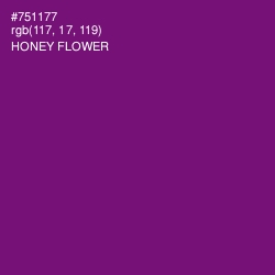 #751177 - Honey Flower Color Image