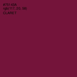 #75143A - Claret Color Image