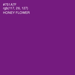 #751A7F - Honey Flower Color Image