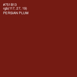 #751B13 - Persian Plum Color Image