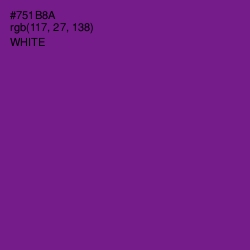 #751B8A - Seance Color Image